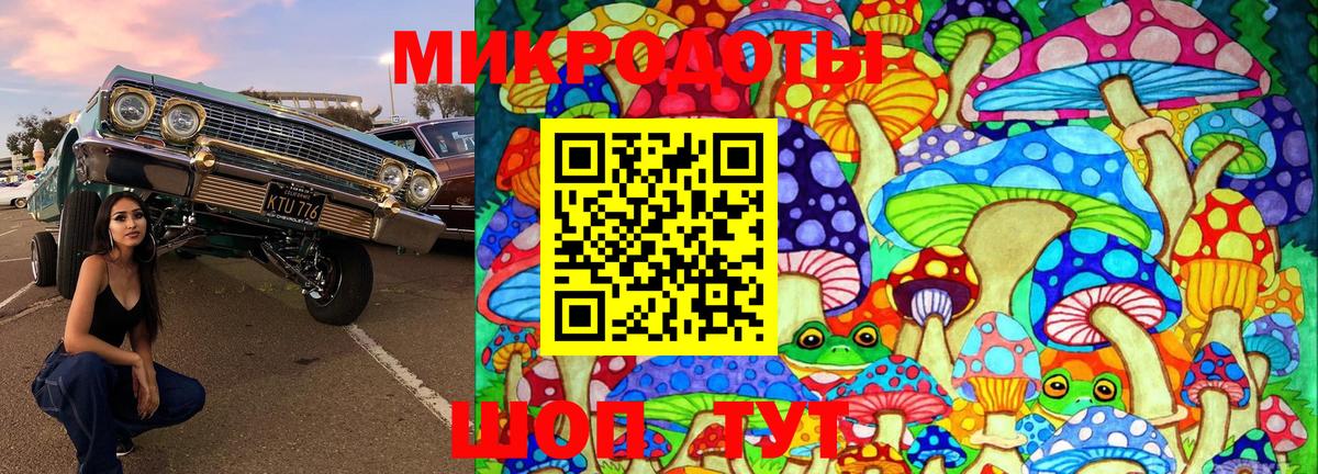 Псилоцибиновые грибы Psilocybine cubensis Тольятти